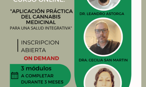 miniatura del curso