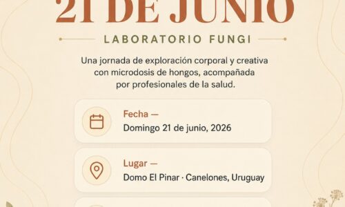 miniatura del curso